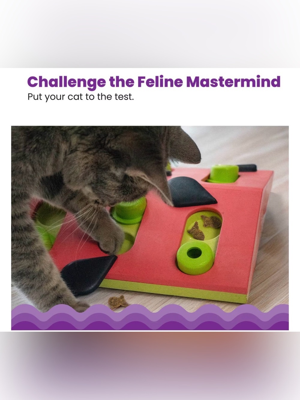 EUC Cat Puzzle & Play Toy for Treats - Picture 6 of 10